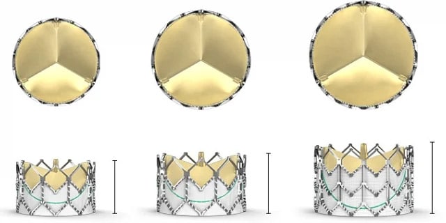 three TAVR gold valves and mesh wire